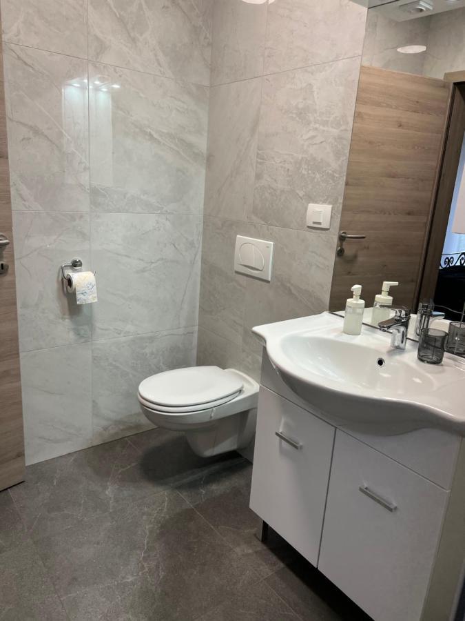 Stara Jezica Apartments With Wifi リュブリャナ エクステリア 写真